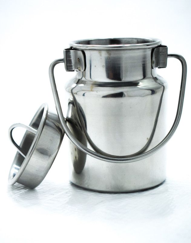 EGLOB Steel Milk Container - 500 ml  (Silver)