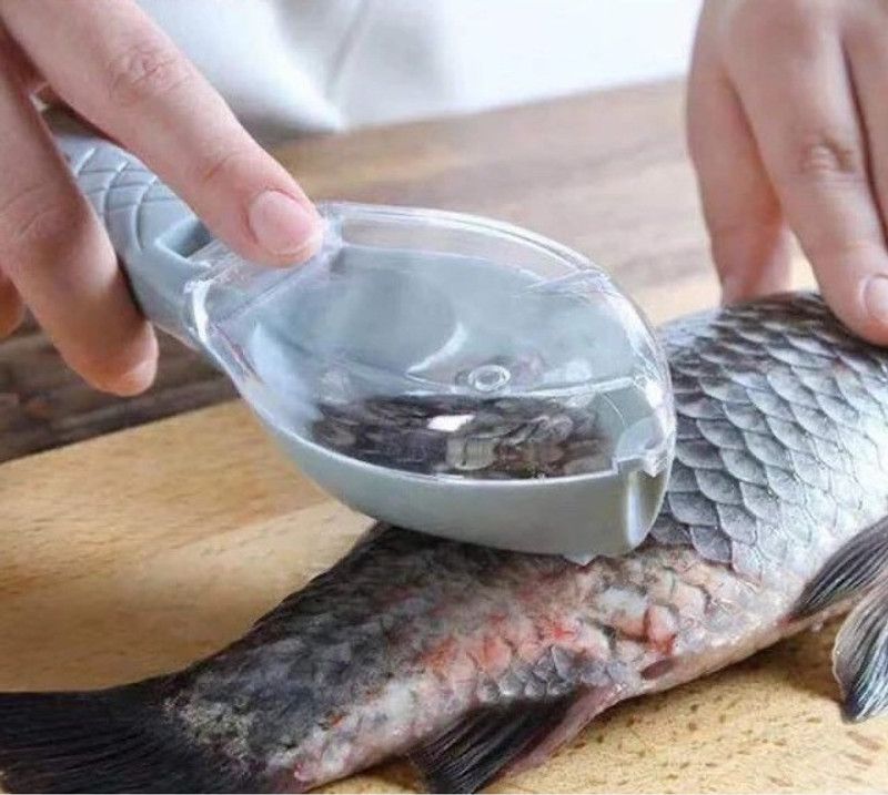 Oncarnival Fast Remove Fish Skin Scraping Brush Fishing Scale Brush Graters Cleaning Peeler Fish Scaler  (Pack of 1)