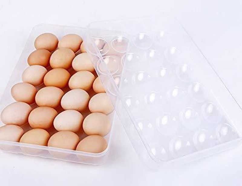 JIGSHTIAL Plastic Egg Container - 2 dozen  (Clear)