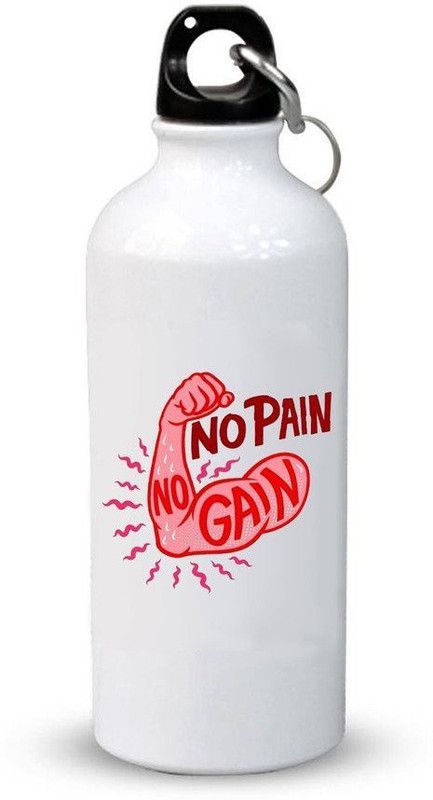 Pigmentz Stylish Printed Sipper Bottle 23 600 ml Bottle  (Pack of 1, White, Steel)