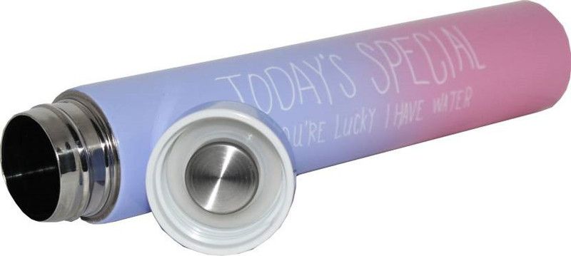 Bluebells India Hot & Cool stainless Steel slim Water Bottle For kids 290 ml Flask  (Pack of 1, Multicolor, Steel)