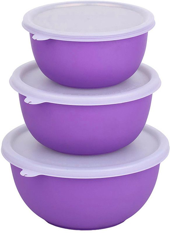 Zaib Stainless Steel, Polypropylene Decorative Bowl Food Storage bowl set of 3 bowl for microwave storage reheat food  (Pack of 3, Purple)