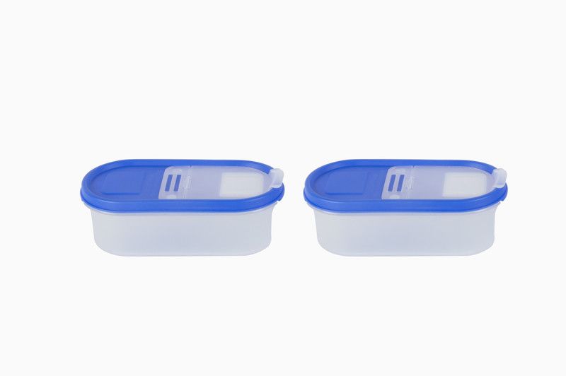 Cuttingedge Plastic Grocery Container - 525 ml  (Pack of 2, Blue)