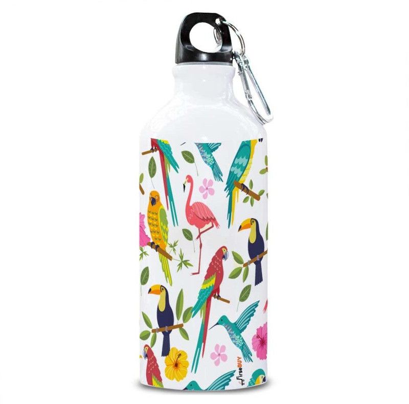 FirseBUY Colorful Birds Print Funny Bottle Gift 600 ml Bottle  (Pack of 1, Multicolor, Aluminium)