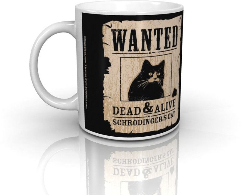 Bcreative Schrodinger's Cat (Officially Licensed) Ceramic Coffee Mug  (350 ml)
