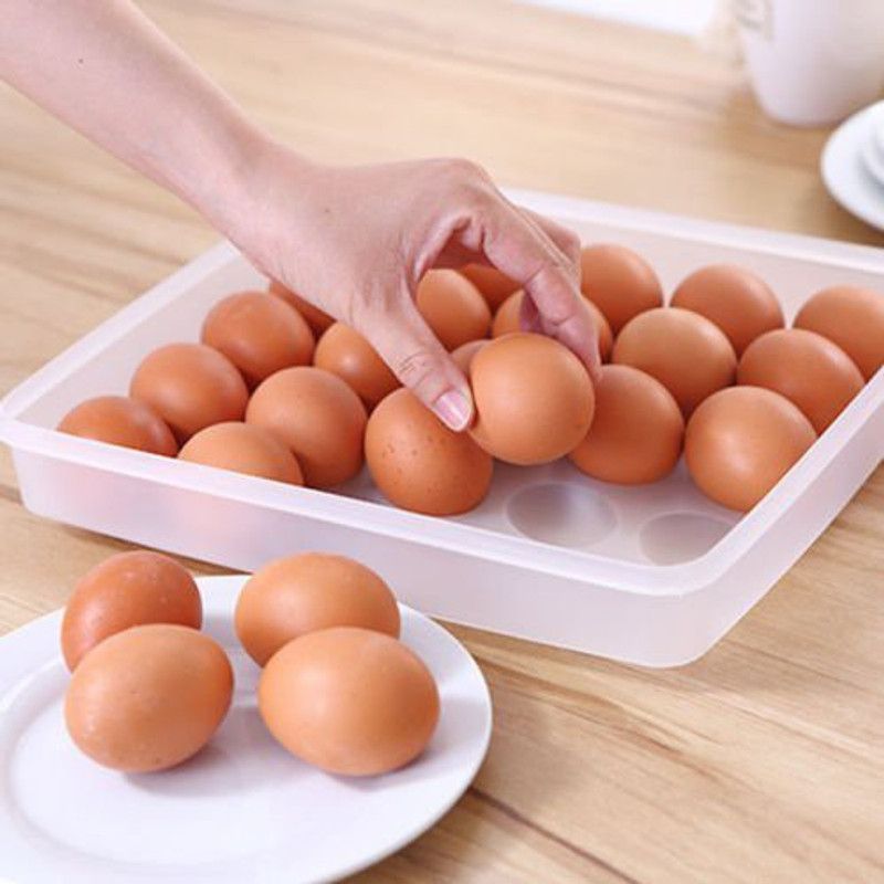 MOOZICO Kitchen Plastic Egg Holder Fridge Organizer Lid Storage Container 24 Egg Tray - 2 dozen Plastic Egg Container  (Clear)