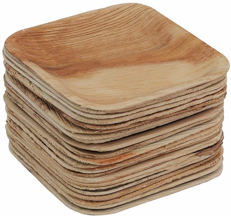PKL ECO FRIENDLY ARECA PLATE 4 inch Dinner Plate  (Pack of 25)