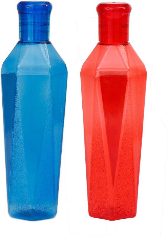 Perpetual Egypt2 1000 ml Bottle  (Pack of 2, Multicolor, Plastic)