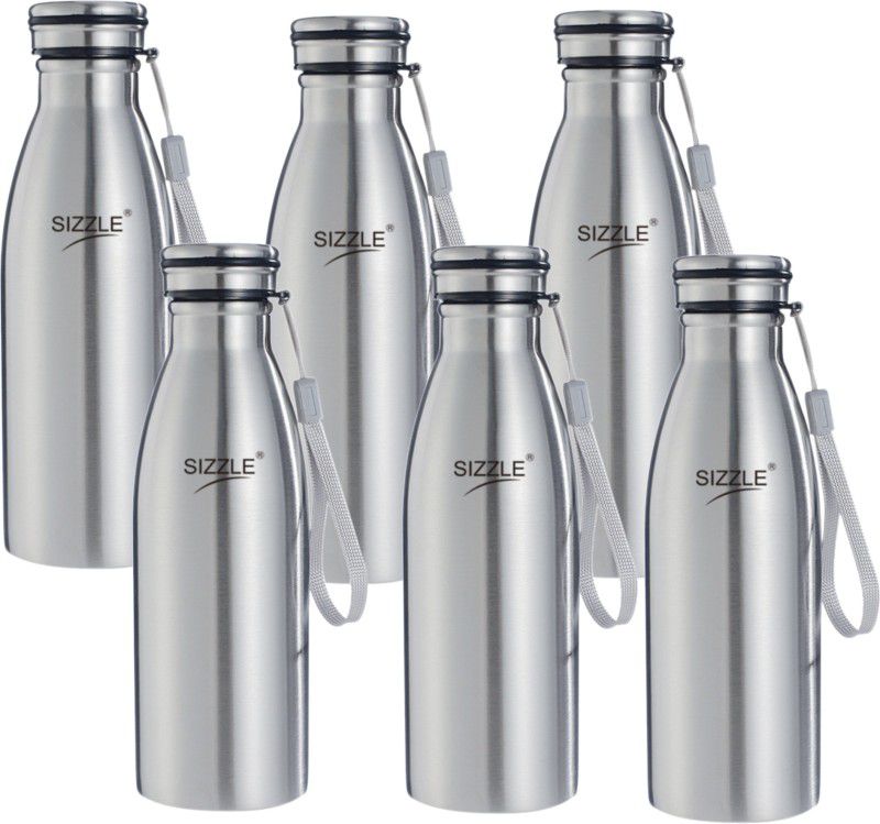 Sizzle Stainless Steel Leak Proof Fridge Water Bottle 600 ml Bottle  (Pack of 6, Silver, Steel)