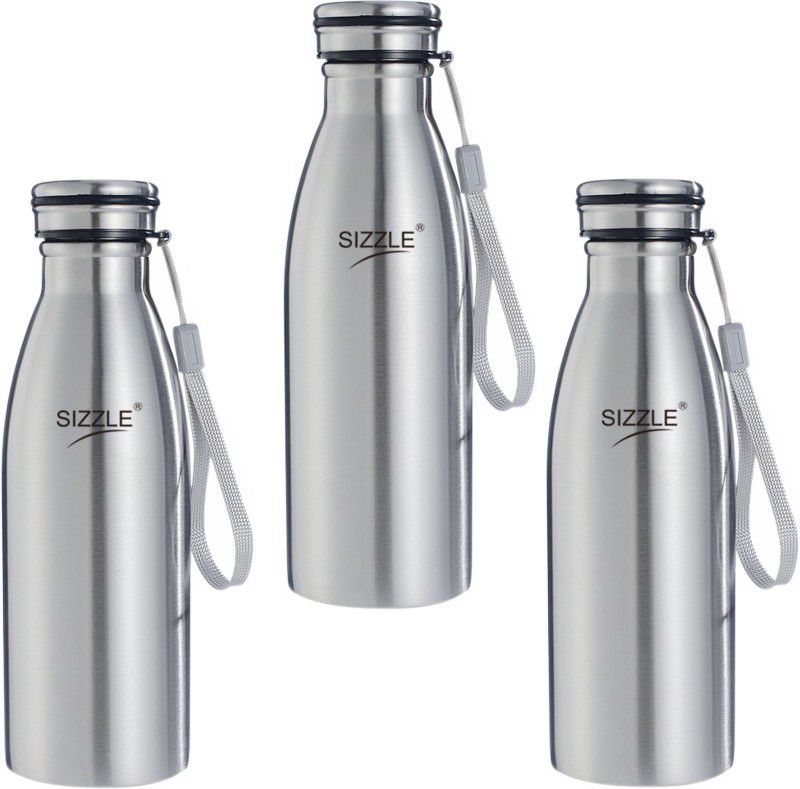 Sizzle Stainless Steel Leak Proof Fridge Water Bottle 600 ml Bottle  (Pack of 3, Silver, Steel)
