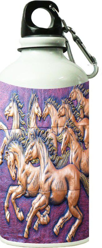 ShopBuzz Horse Stone Printed Sipper Bottle 600 ml Bottle  (Pack of 1, Multicolor, Steel)
