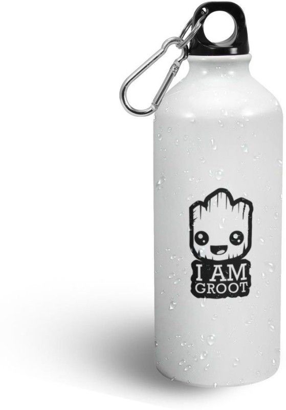 FLYBOX I Am Groot -02 Sipper Bottle 600 ml Bottle  (Pack of 1, White, Aluminium)
