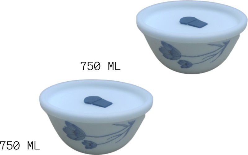 Set of 2 Mixing and Serving Bowl Opalware Serving Bowl  (White, Blue, Pack of 2)