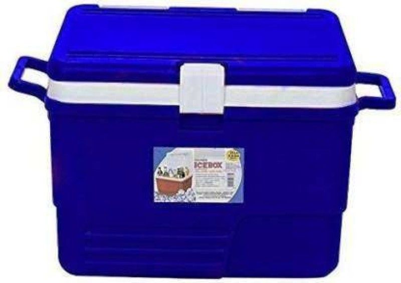 Randal 25 L Plastic Insulated Ice Cube Box _ ( 25 L _ Blue ) Ice Bucket  (Blue)
