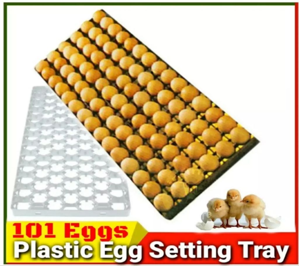 Plastic Egg Tray  (101 Eggs)