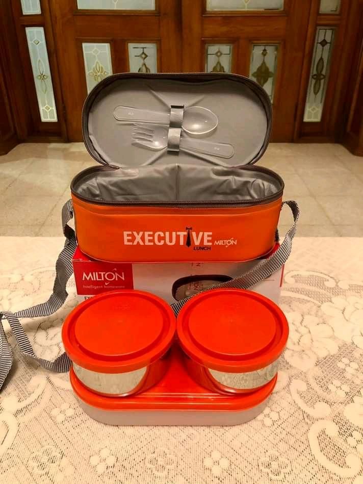 Milton Executive Lunch Box Soft Insulated Tiffin Box (2 SS Container,1 Microwave Safe Container)