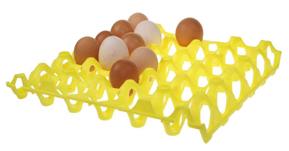 1 PCS 20holes cheap plastic egg tray- Multicolour