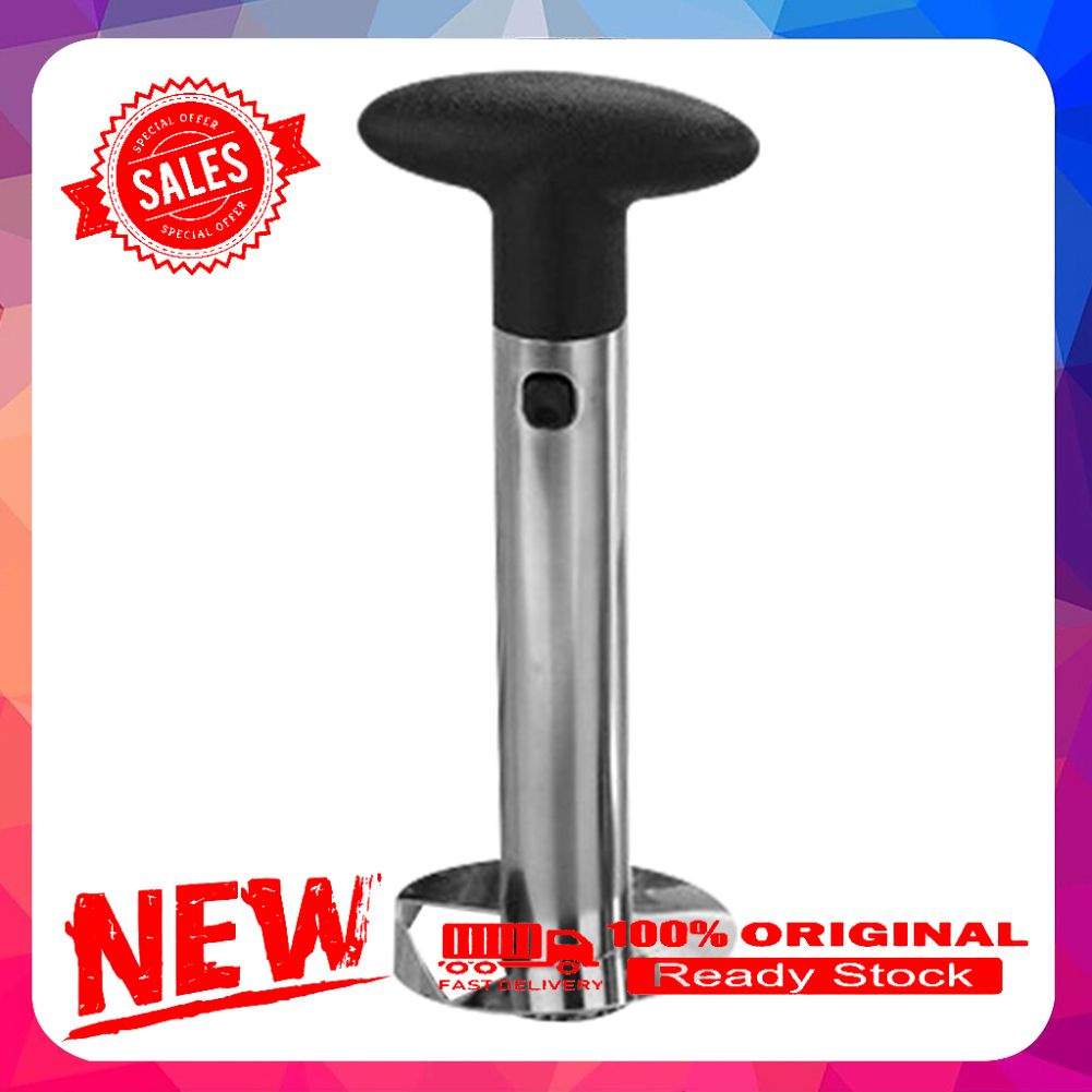 Stainless Steel Pineapple Cutter Slicer Corer Peeler Easy Kitchen Fruit Gadget