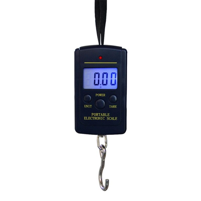 40kg x 10g Mini Digital Scale for Fishing Luggage Travel Weighting Steelyard Hanging Electronic Hook Scale Kitchen Weight Tool