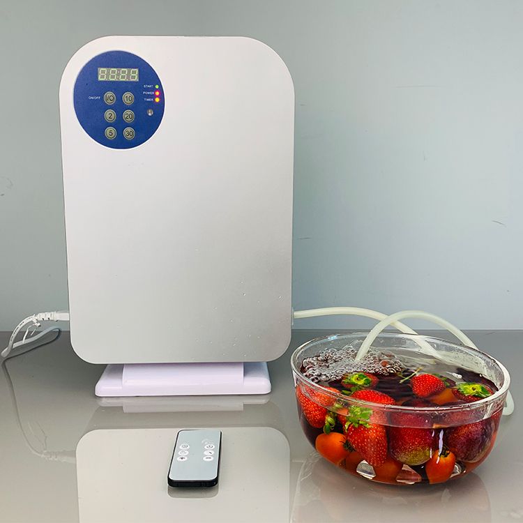 Fruit Vegetable Cleaner Disinfection Machine formalin Remover Sterlized Meat and vegetable Machine