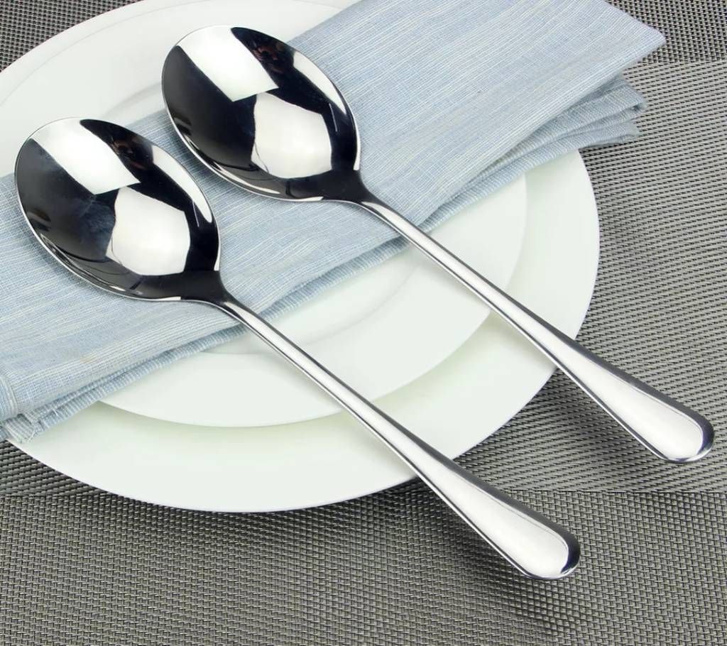 Stainless Steel Table/Curry Spoon 02 Pcs