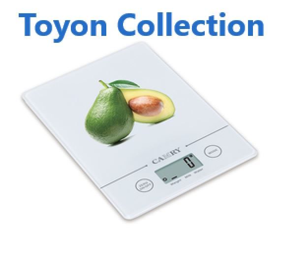 camry kichen scale for daily tool
