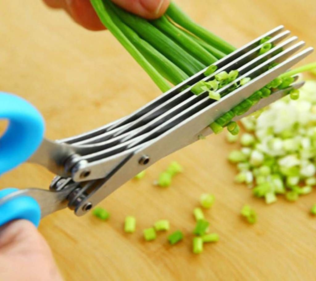 Stainless Steel Kitchen Scissors (5 Layers)