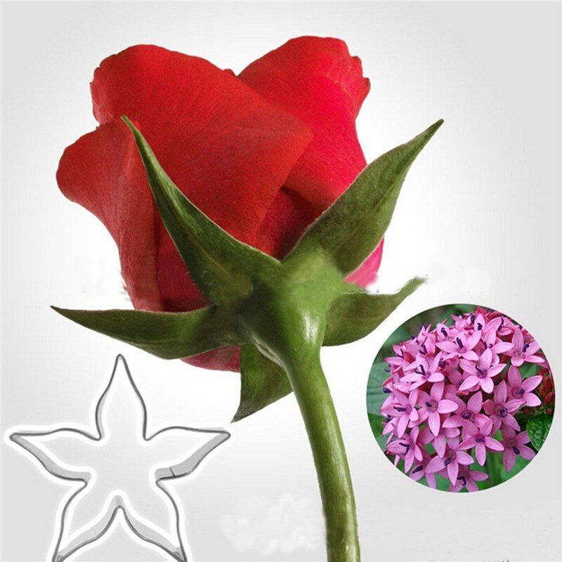 Pinch Flowers Fondant Cake Tool Rose Receptacle Pentas Shape Cookie Cutters Cooking Tools