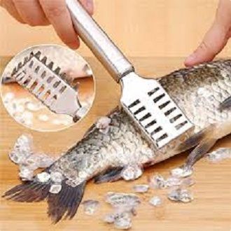 Stainless Steel Fish Scale Cleaner - Silver