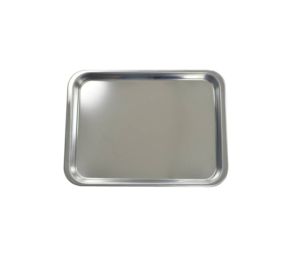 Stainless Steel Tray (12 Inch)