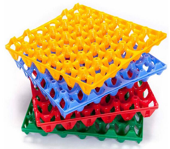 4 PCS Plastic Egg Container- Multicolour