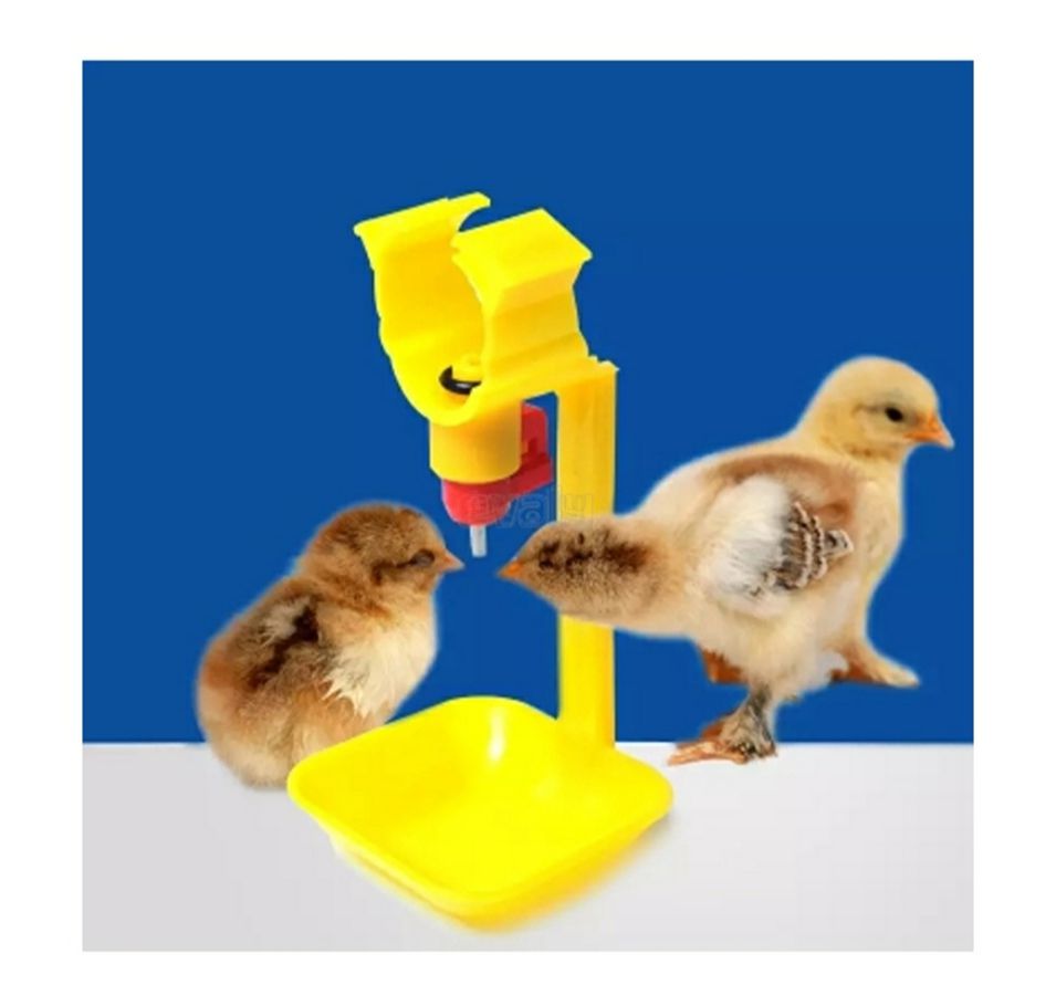 Chicken Dringking Water Pot 1pcs