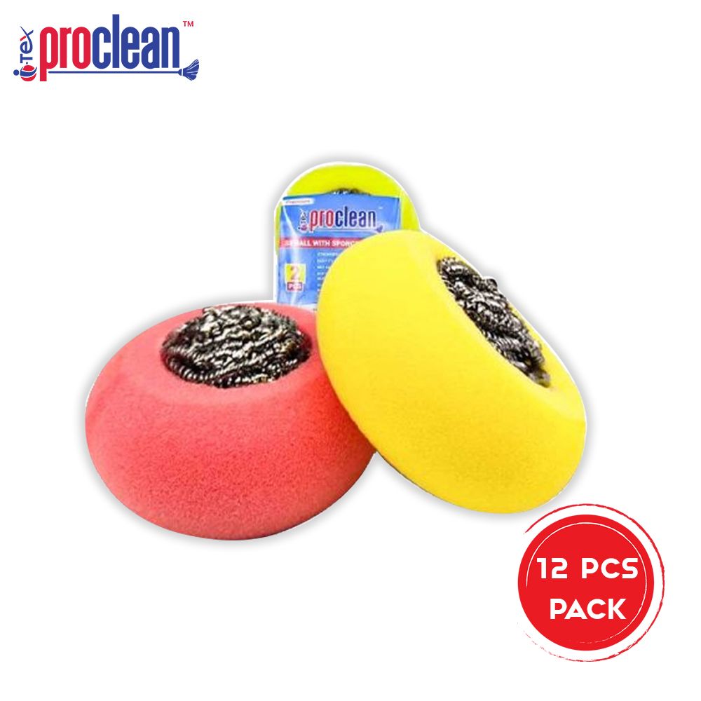 12 PCS  SS Ball with Sponge Scourer, Kitchen Cleaning Dish Sponge for Removing Hard Dirt, Oil, Non-Scratch Non-Stick Pan_BSS-9999-12