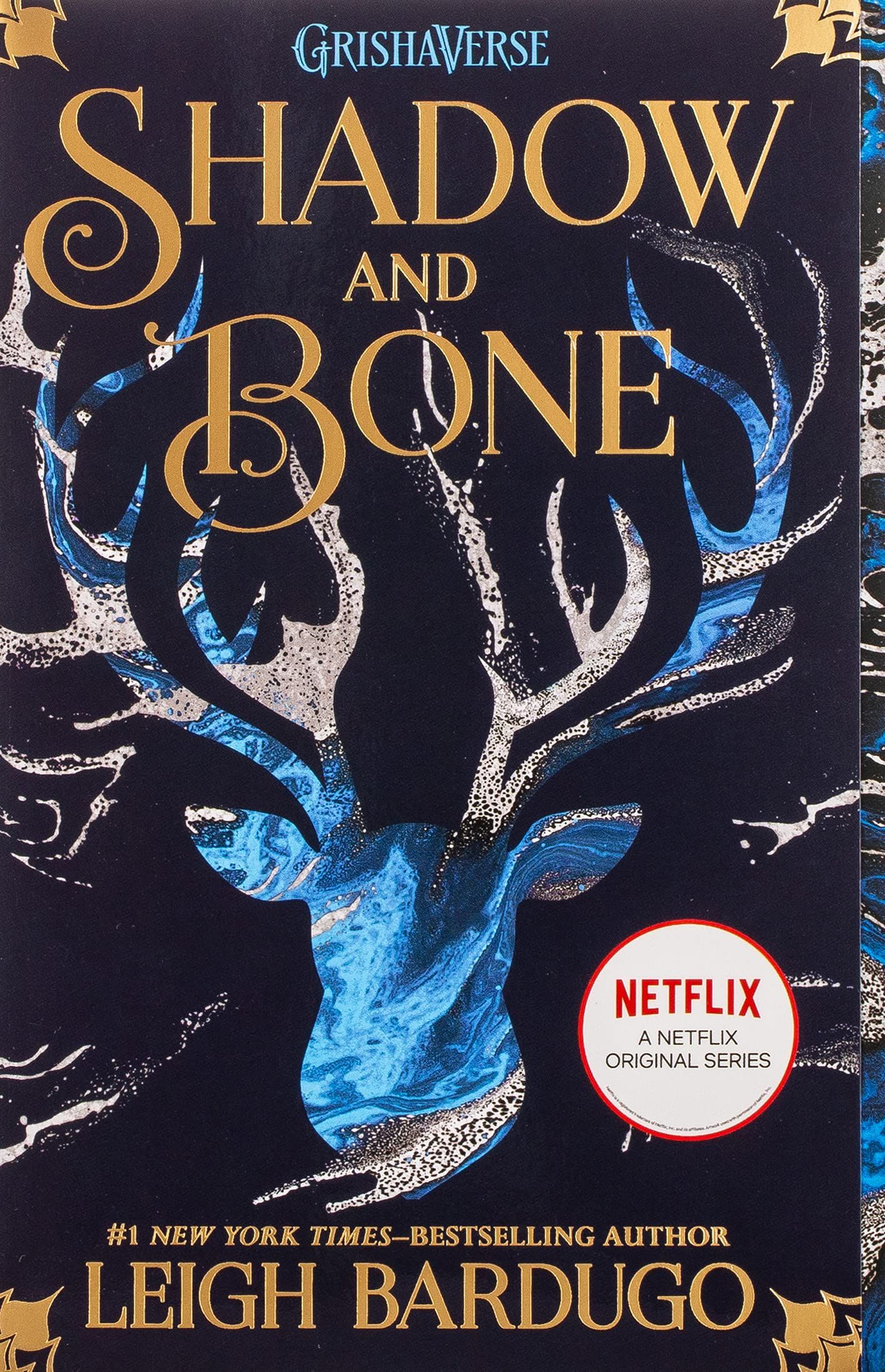 Shadow and Bone: 1 (The Shadow and Bone Trilogy, 1)
