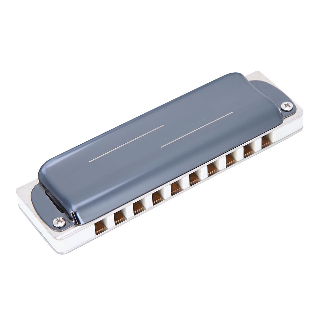 Professional Mouthorgan Blues Harp Harmonica 10‑Hole Eb Key Musical Gifts Phosphor Bronze Tone Reed
