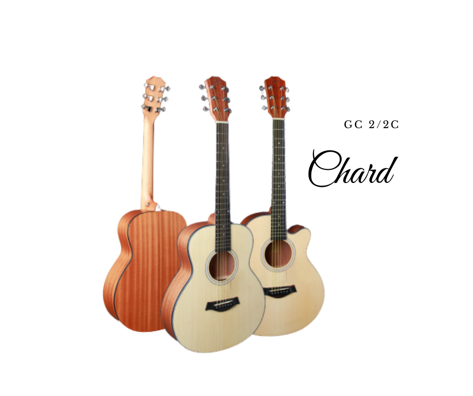 Chard GS MINI 2C Travel Guitar