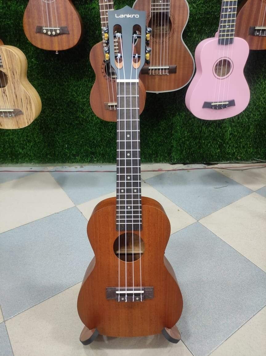 Lankro Solid Top 24 inch Concert Ukulele with padded bag, Picks, Strings & Strap