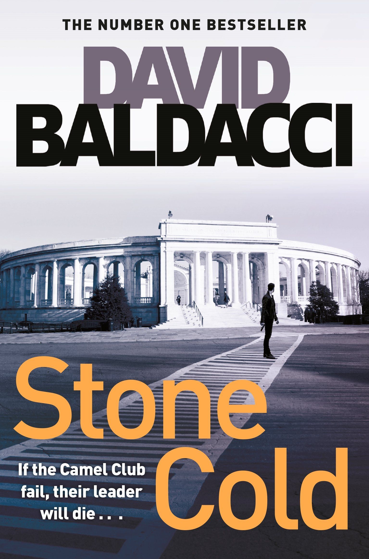 Stone Cold (The Camel Club) Paperback