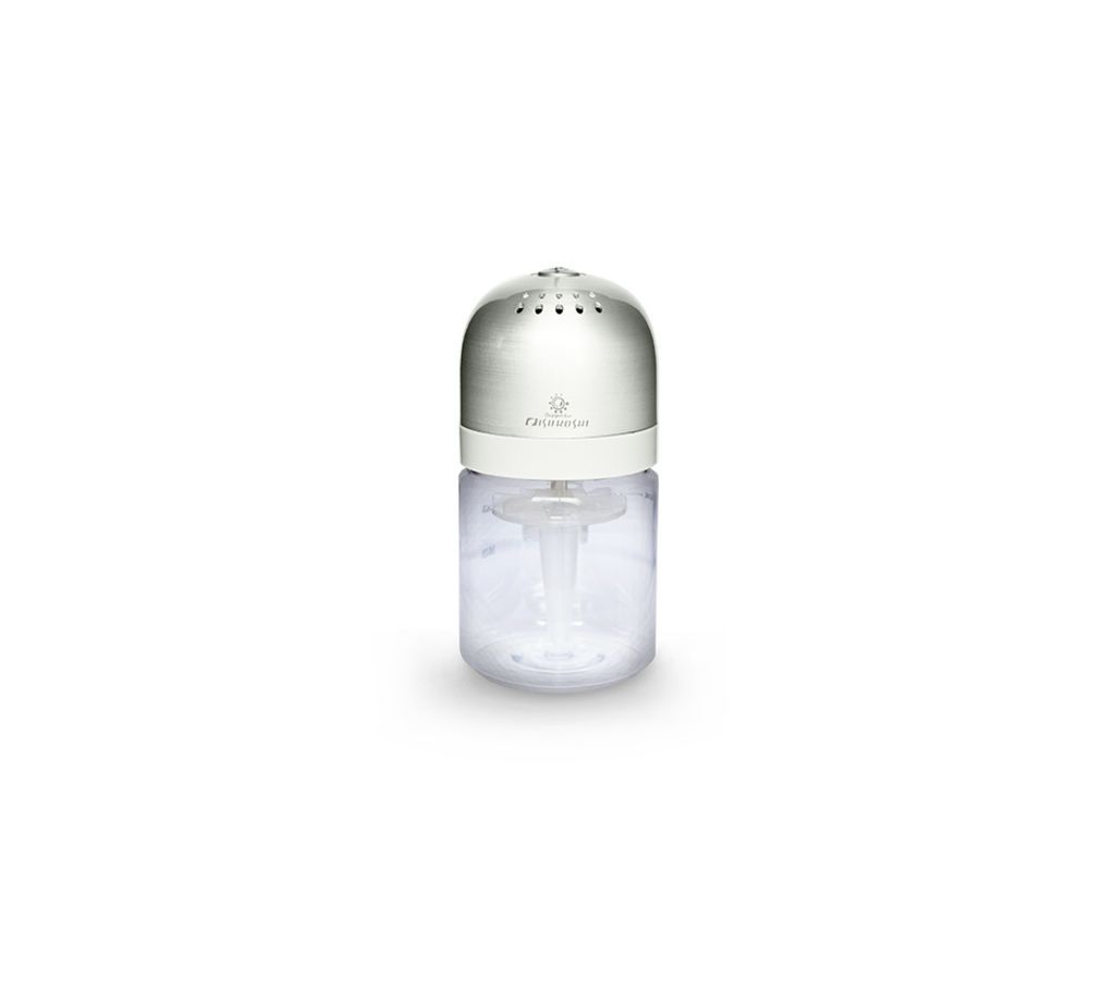 CAR REVITALIZER
