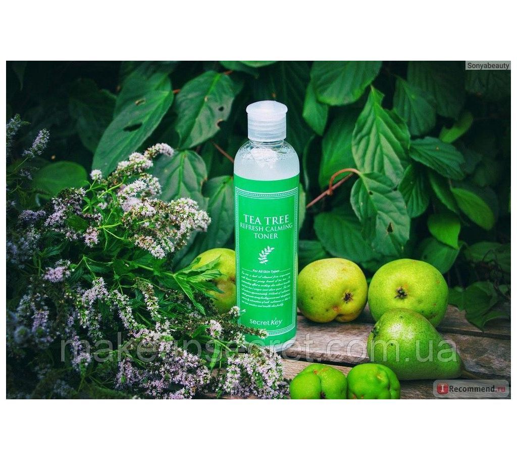 [SECRET KEY] Tea Tree Refresh Calming Toner 248ml - Reducing Sebum Production, Containing 15 Kinds of Botanical Extract
