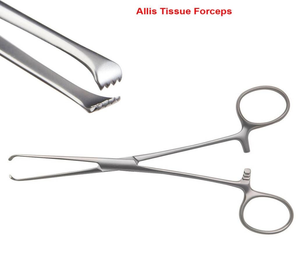 Allis Tissue Forceps