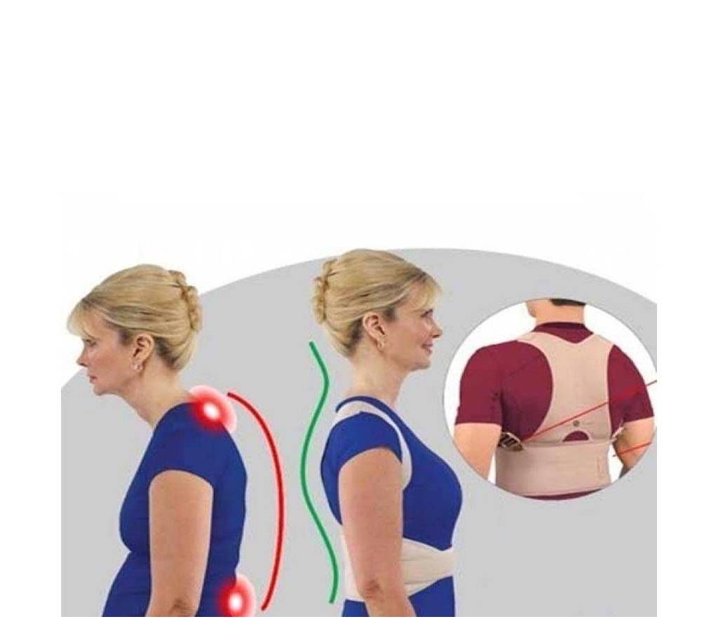 Back support belt
