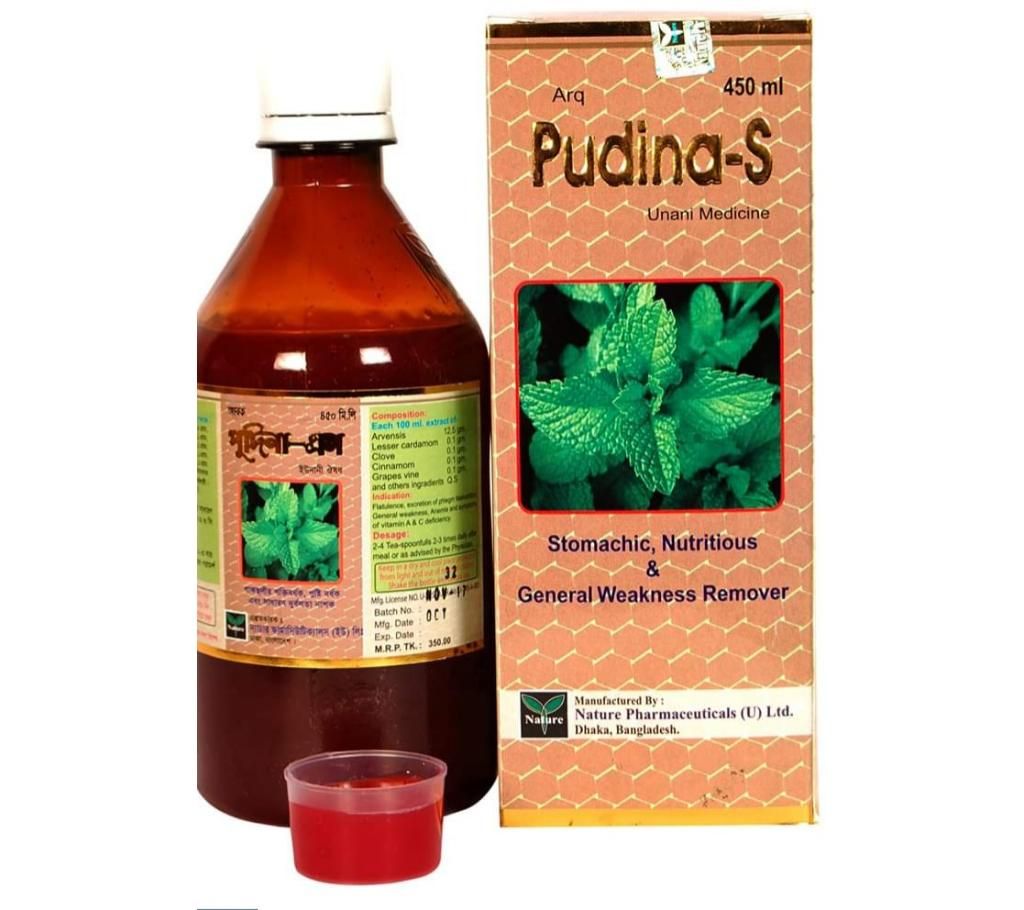 Pudina S