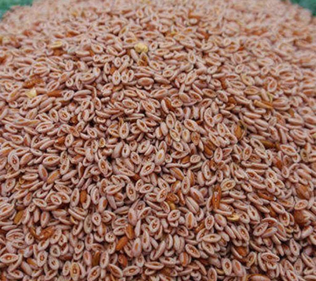 Yusuf Gul Seeds
