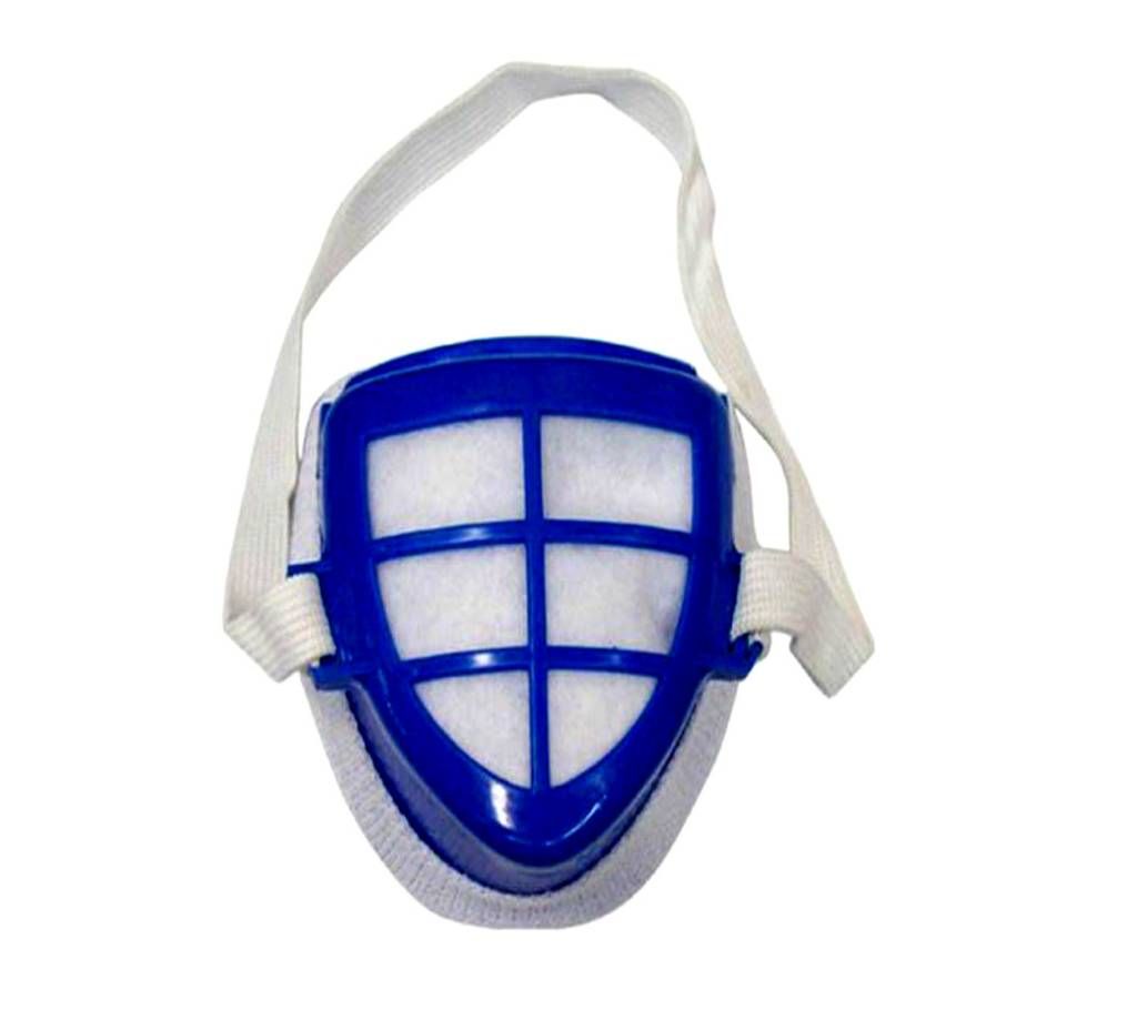 Safety Mask - Blue