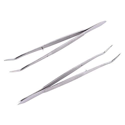 Generic Dentistry Tool Dental Plier Stainless Steel Dental Tweezer Forcep Teeth Clean Tools Professional Dentistry Instrument Hygiene