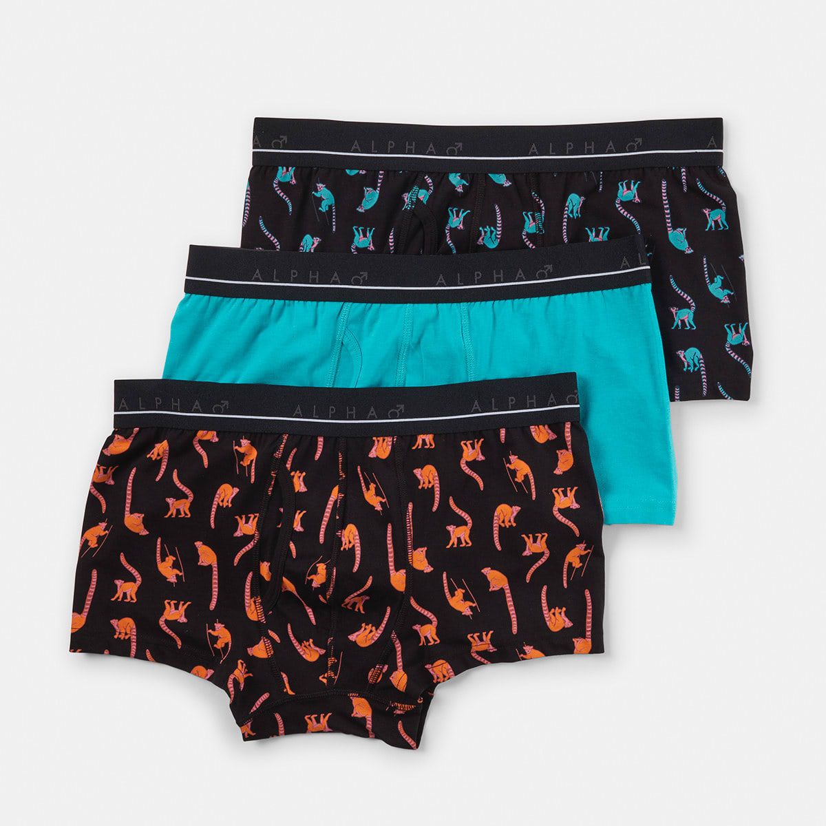 3 Pack Organic Fly Front Printed Trunks