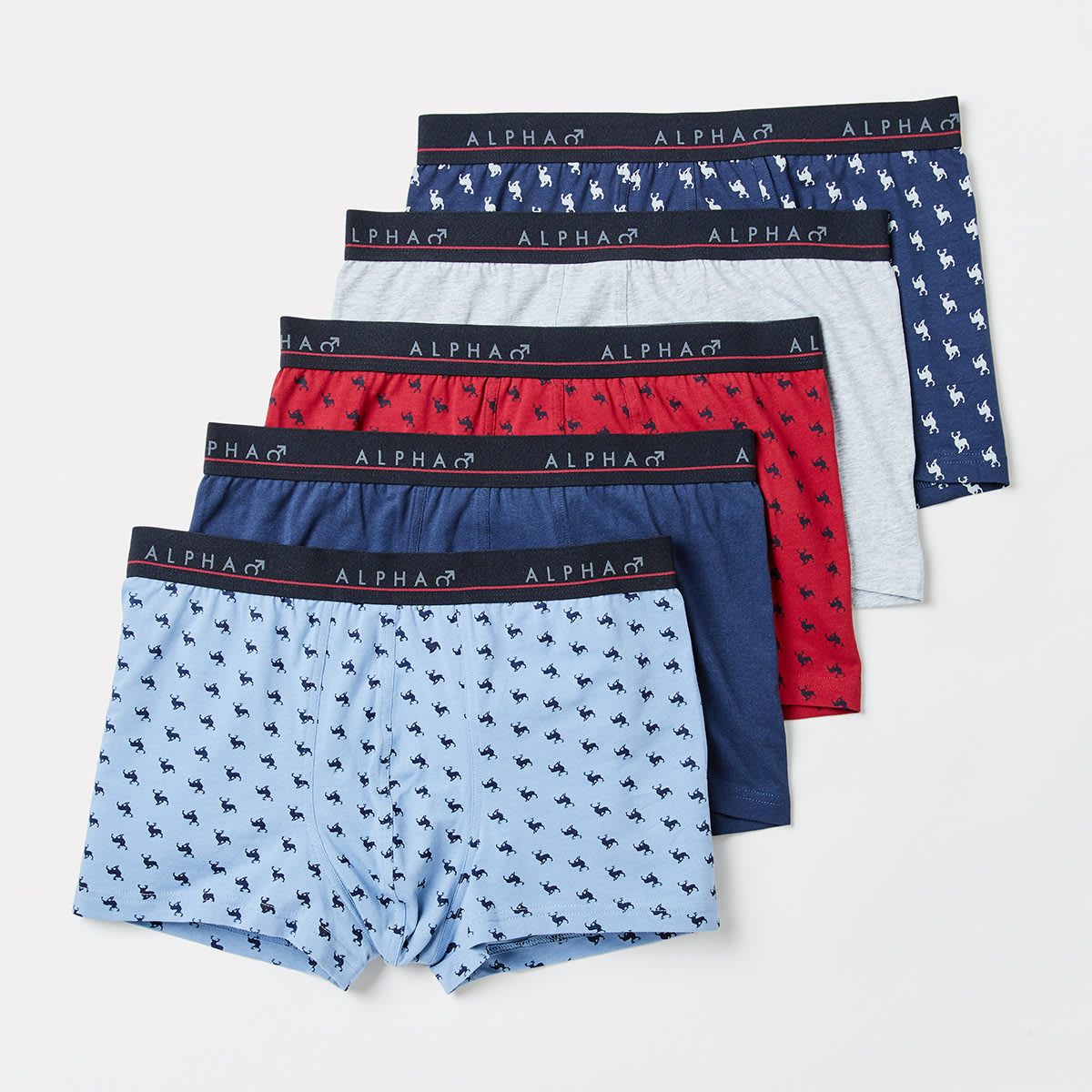 5 Pack Trunks