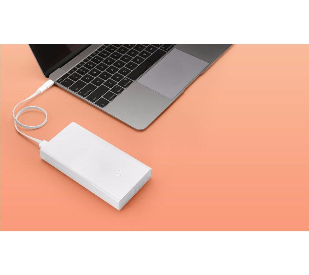 MI 20000 mAh POWER BANK 