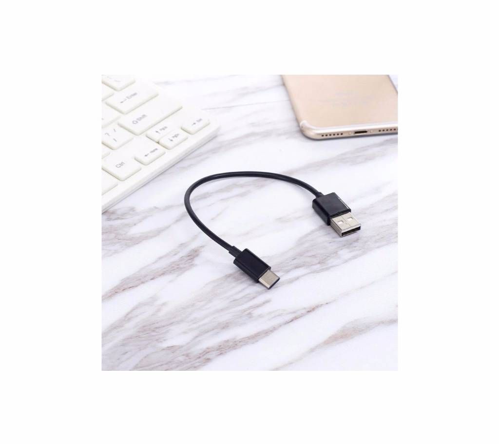 Type C 3.1 Fast Charging Mini cable
